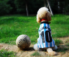 扎根金陵：联洋智能的 10 年智能制造深耕之路